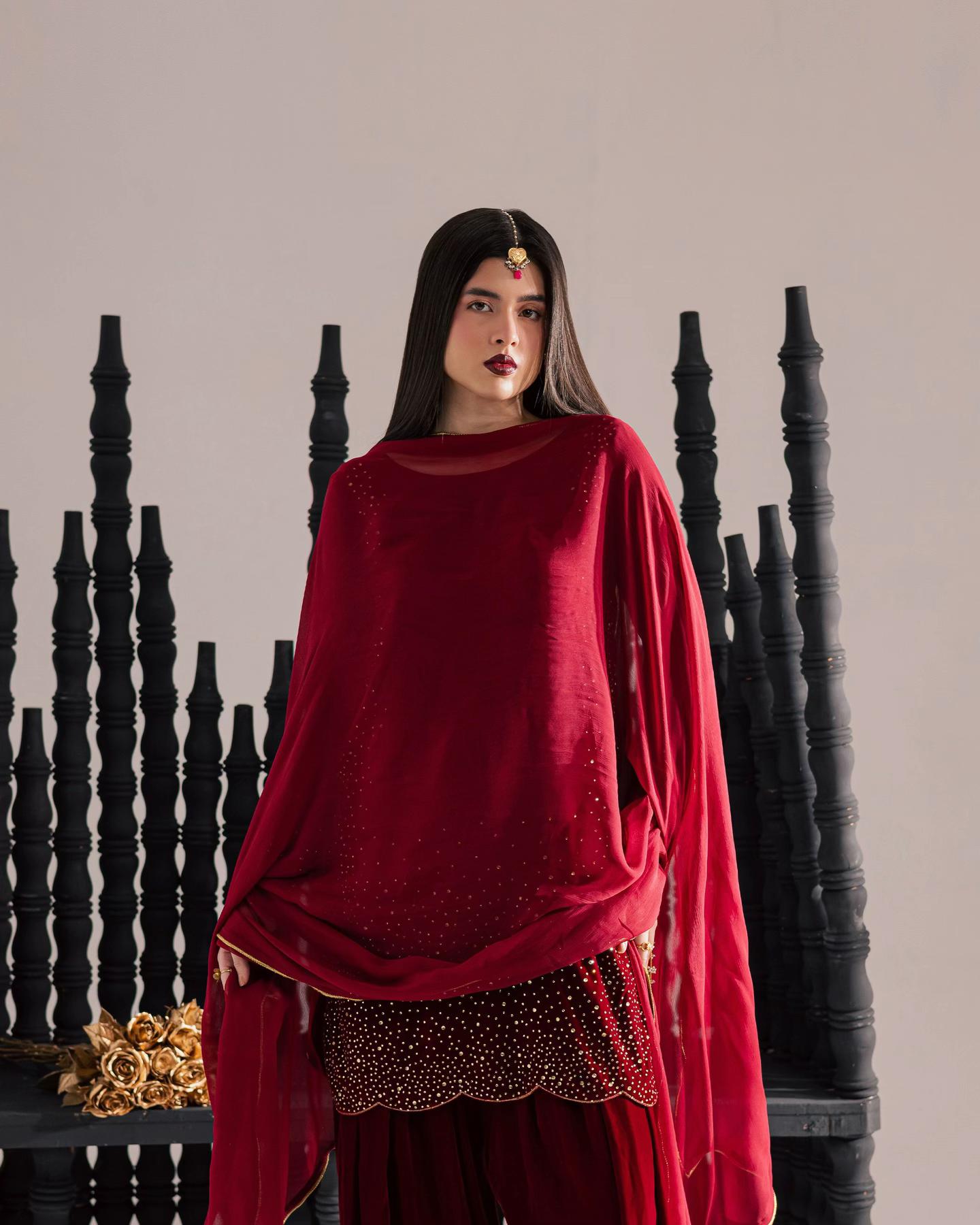 ZARA-2 alternate view